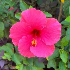 Meet your Posher, Kay